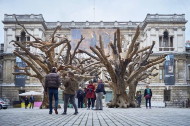 AI Wei Wei ağaca Kraliyet Sanat Akademisi