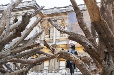 AI Wei Wei ağaca Kraliyet Sanat Akademisi