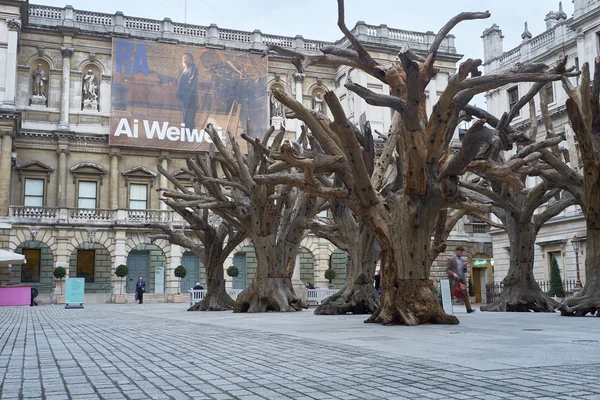 AI Wei Wei ağaca Kraliyet Sanat Akademisi — Stok fotoğraf