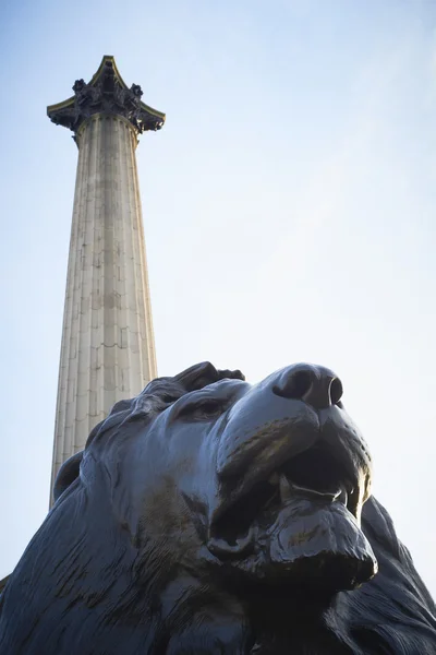 Estatua de Trafalgar Square —  Fotos de Stock