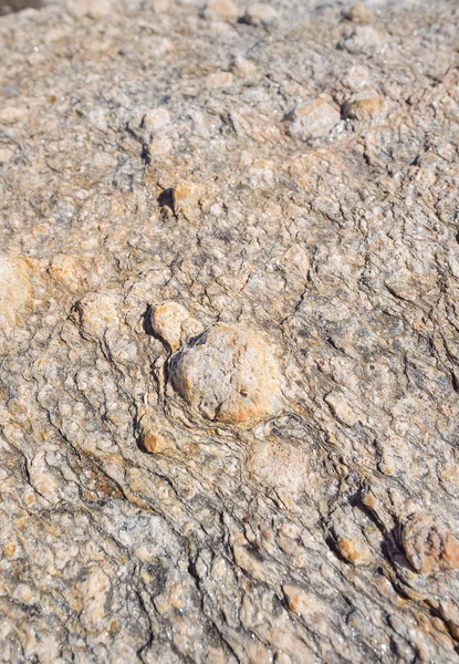 Textura rochosa, rochas metamórficas, fundo — Fotografia de Stock