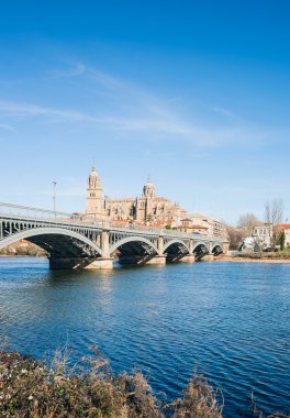 Salamanca Tormes nehir ve Katedrali. Kastilya ve Leon, Spa
