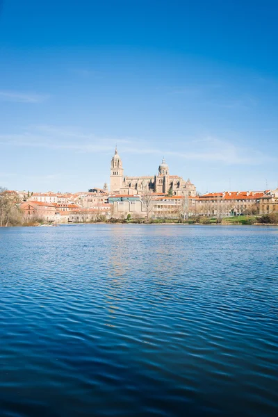 Salamanka z rzeki Tormes i katedry. Kastylia -León, Spa — Zdjęcie stockowe