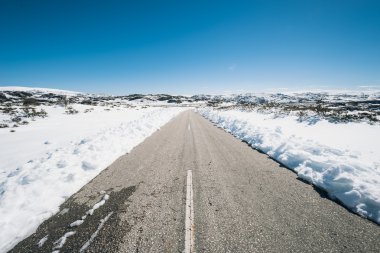 Güneşli bir kış manzarası