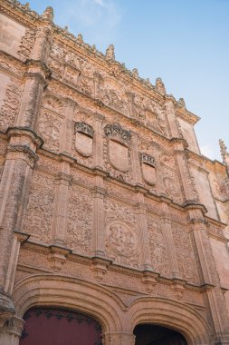 Salamanca, İspanya. Güzel antik kenti