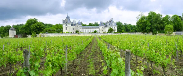 Breze chateau, Fransa — Stok fotoğraf