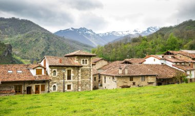 Mogrovejo Village in front of the Picos de Europa, Cantabria, Sp clipart