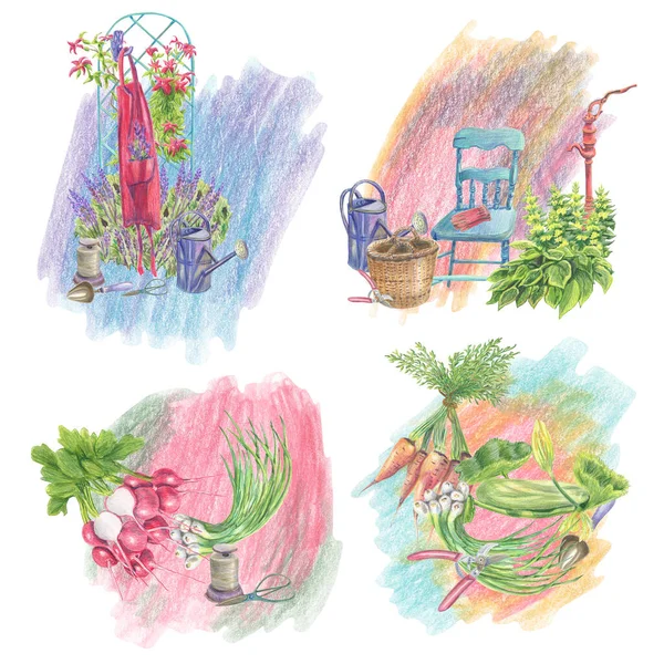 Четыре Композиции Садовых Предметов Листвы Цветов Овощей Абстрактном Фоне Пятна — стоковое фото