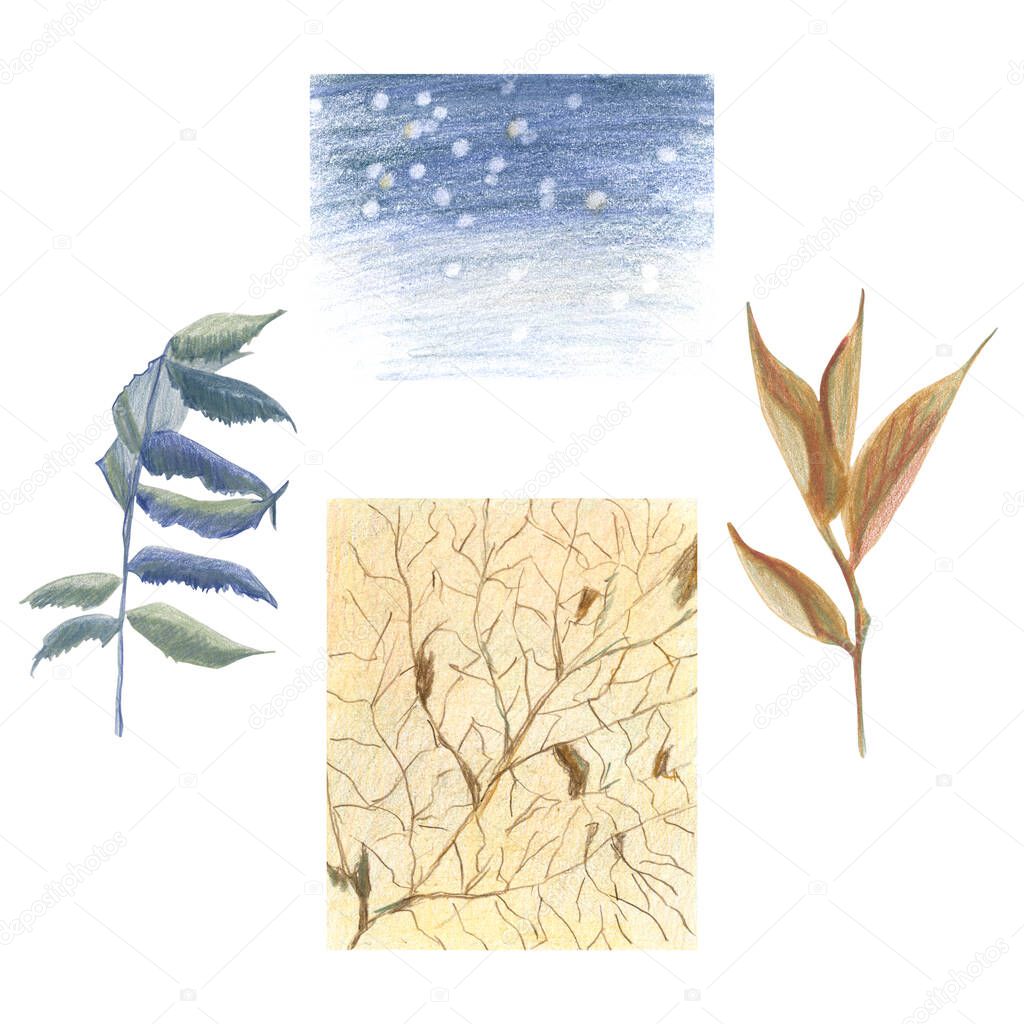 Texture of leaves and blue and sepia leaves by colored pencils. Objects and backgrounds for vintage and cozy mood. Hand drawn.