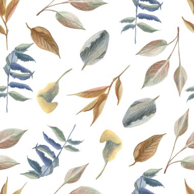 Beyaz arka planda renkli kalemlerle kesilmiş sonbahar kurumuş yapraklarının pürüzsüz deseni. Mavi ve sepia tonlu. Eski moda ve rahat bir ortam için nesneler. El çizimi.