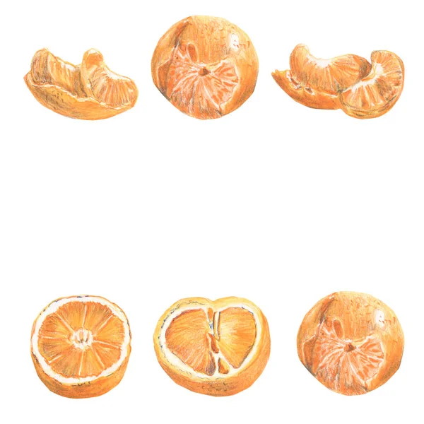 Confine Con Mandarini Interi Fette Tecnica Matita Colorata Disegnato Mano — Foto Stock