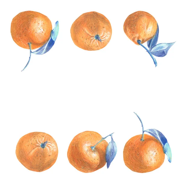 Rand Ganzer Mandarinen Mit Blättern Buntstift Technik Handgezeichnet Für Banner — Stockfoto