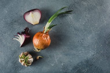 Evde yetişen soğanlar, kırmızı soğan dilimleri ve hafif arka planda sarımsak filizleri ve metin tarafı görüntüsü için bir kopya alanı. Çiğ yiyecek, çevre dostu ürün..