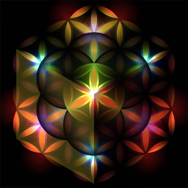 Seed of life, colorful 3d vector healing part of metatrons cube. Sacred geometry divine creation of universe — Stock Vector