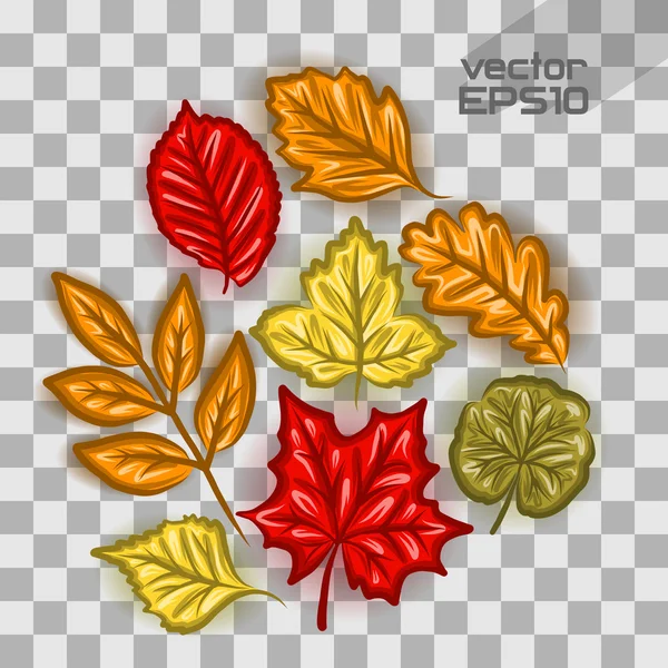 Conjunto de hojas de otoño — Vector de stock