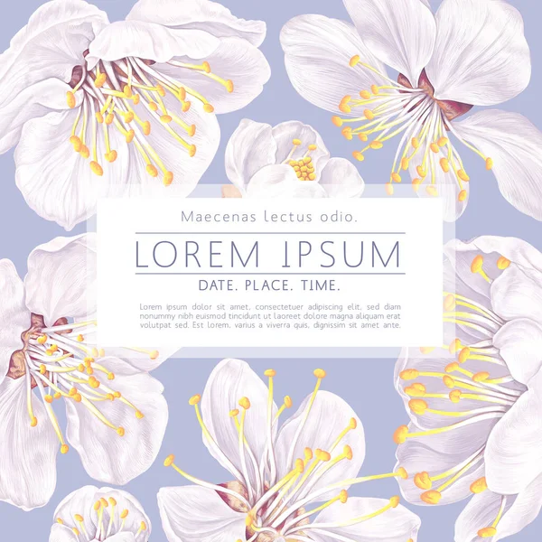 Grußkarten Vorlage Mit Realistischen Floralen Elementen Aus Weißen Aprikosenblüten Und — Stockvektor