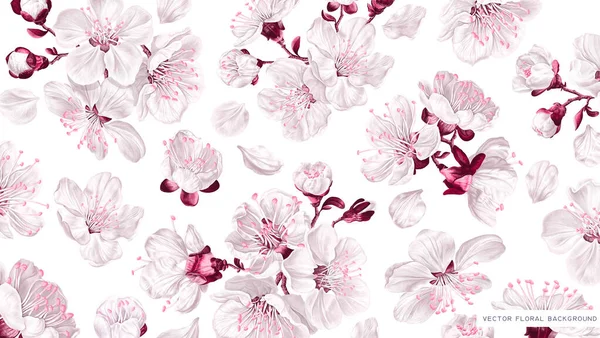 Papel Parede Com Flores Cereja Primavera Branco Rosa Vetor Realista — Vetor de Stock