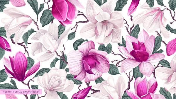 Vector Floral Fondo Realista Con Magnolias Blancas Rosadas Flores Dibujadas — Archivo Imágenes Vectoriales