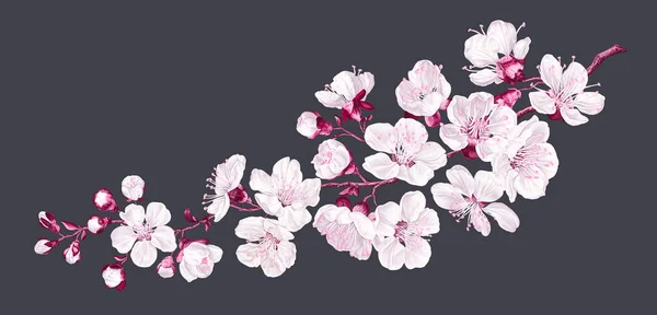 Almendra flor imágenes de stock de arte vectorial | Depositphotos Almendra flor imágenes de stock de arte vectorial | Depositphotos