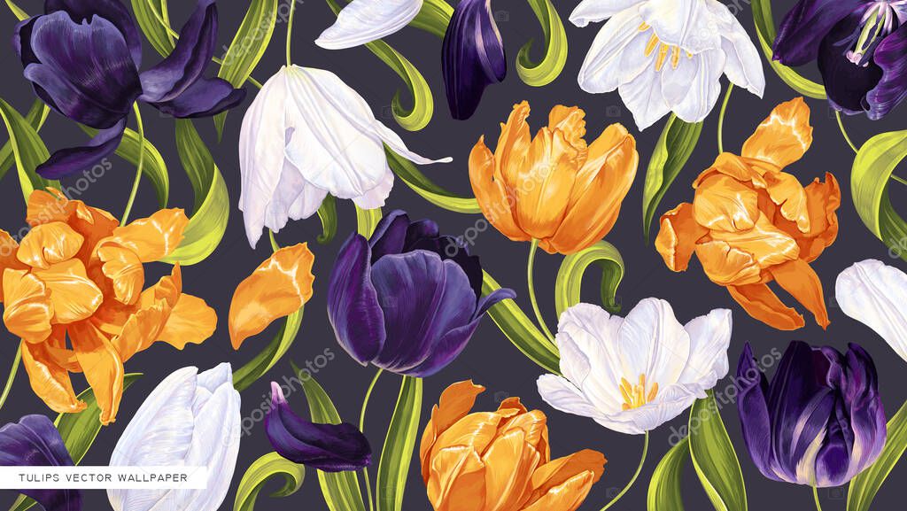 Botanical background with realistic vector hand-drawn tulips. Highly detailed flowers, yellow, white and dark purple on dark background. Design specifically for desktop on computer, tablet or laptop.