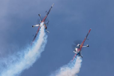 Pardubice'deki Uçan Boğalar