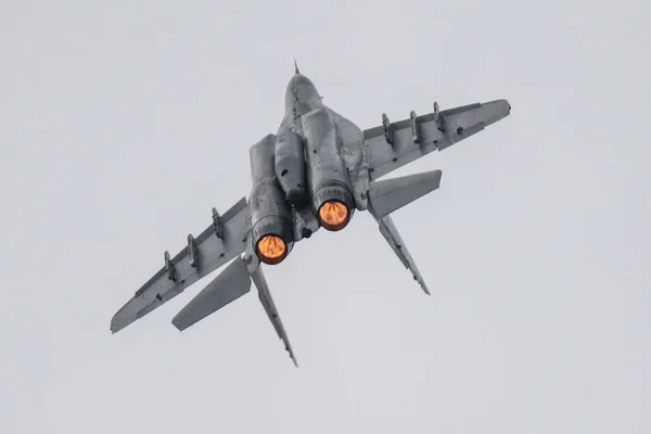 Mig-29 à Leuwardeen — Photo