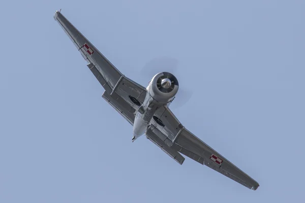 TS-8 Bies in Krakow Airshow 2016 — Stock Photo, Image