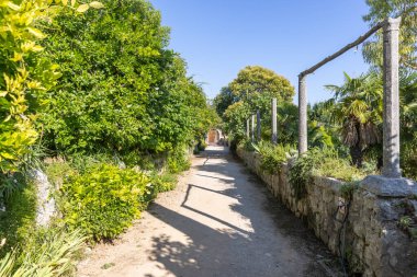 Botanik Bahçesi Trsteno 'da video yapımlarıyla ünlüdür.