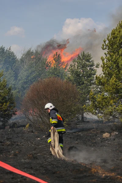 Fuoco d'erba — Foto Stock