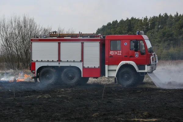 Fuoco d'erba — Foto Stock