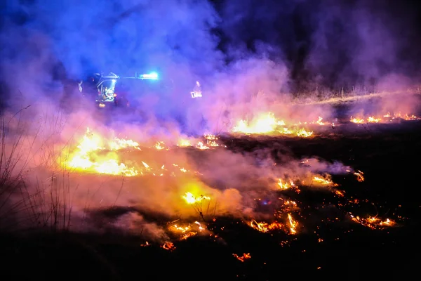 Fuoco d'erba — Foto Stock