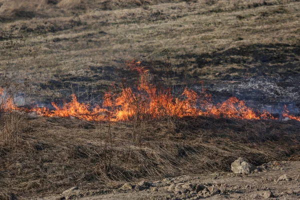 Kebakaran rumput — Stok Foto
