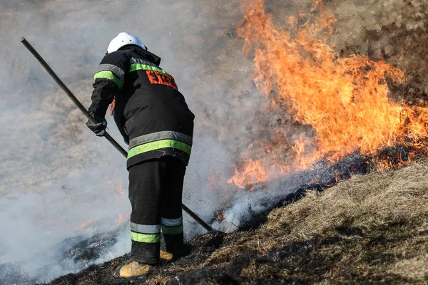 Fuoco d'erba — Foto Stock