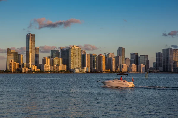 Miami downtown — Zdjęcie stockowe