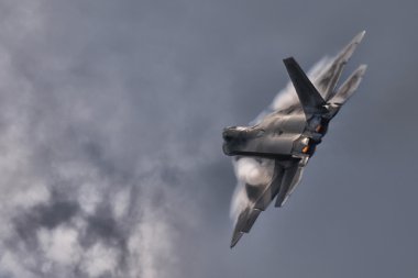 F-22 Raptor Demo Takım