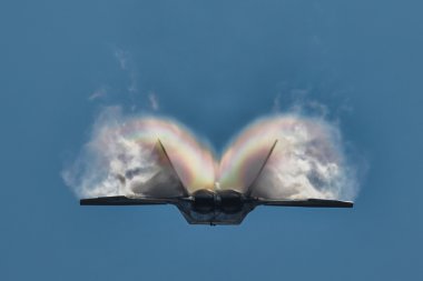 F-22 Raptor Demo Takım