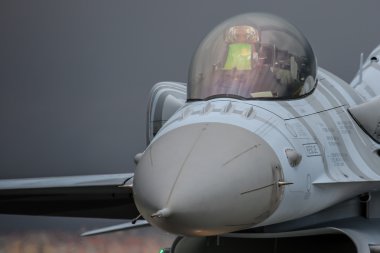 Polish F-16 on NATO Tiger Meet clipart