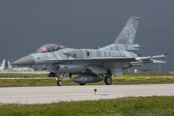 Польська-F-16 на НАТО зустрінуться тигр — стокове фото