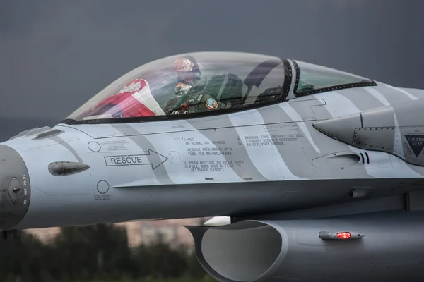 Lehçe F-16 Nato Tiger Meet tarihinde — Stok fotoğraf