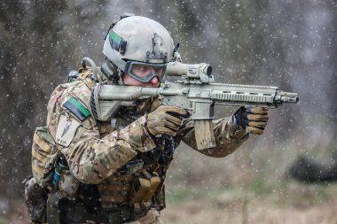 Polish Armed Forces reconstruction group