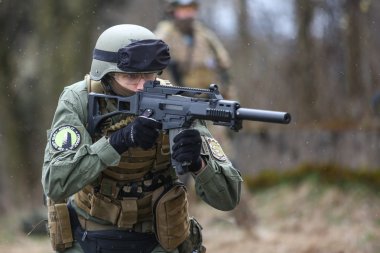 Polish Armed Forces reconstruction group