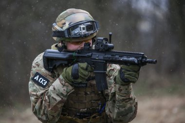 Polish Armed Forces reconstruction group