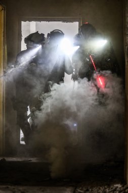 Polish Armed Forces reconstruction group
