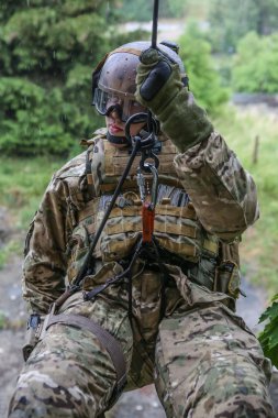 Polonya Ordusu yeniden yapılanma grubu