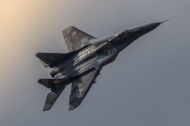 MiG 29 Polonya Hava Kuvvetleri