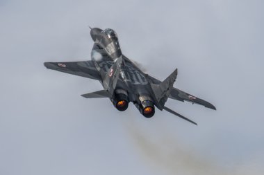MiG 29 Polonya Hava Kuvvetleri