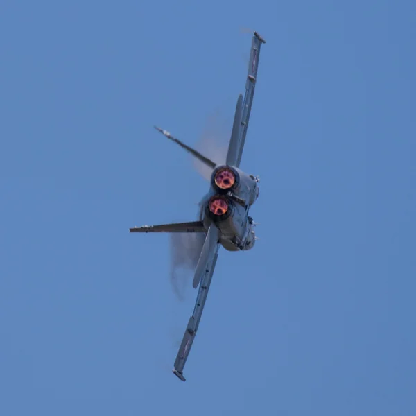 FA-18 Hornet Swiss Air Force — Stock Fotó