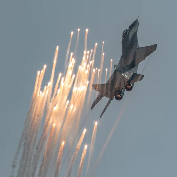 Mig-29 of Slovak Air Force — Stock Photo, Image