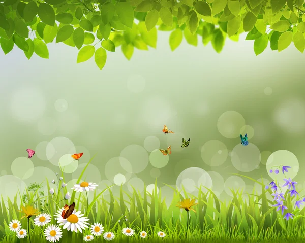 Fondo de pantalla en vivo de primavera verde  . — Vector de stock