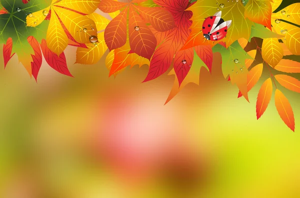 Fondo de otoño — Vector de stock